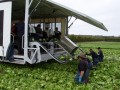 Harvesting Aids-Chain/Cups