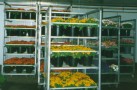 Flower Display Trolleys